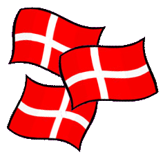 flag2